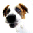 horaciolopes's Avatar